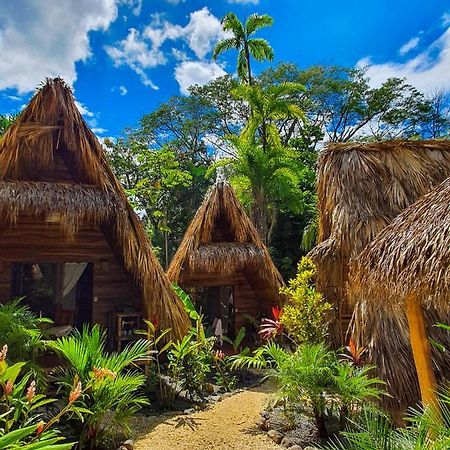 Buena Onda Bungalows Playa Santa Teresa  Ngoại thất bức ảnh