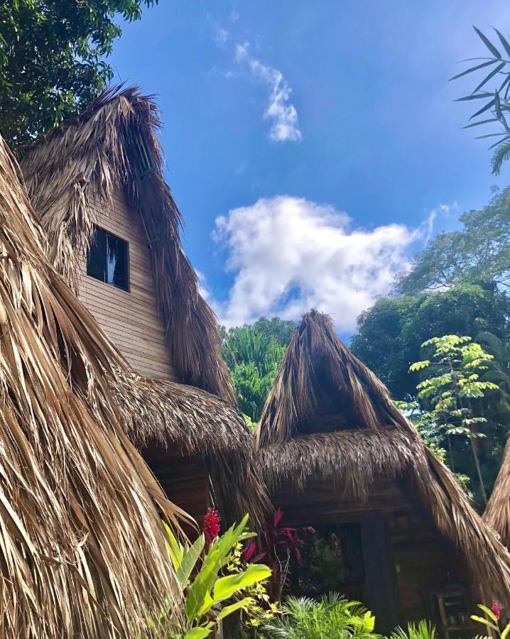 Buena Onda Bungalows Playa Santa Teresa  Ngoại thất bức ảnh