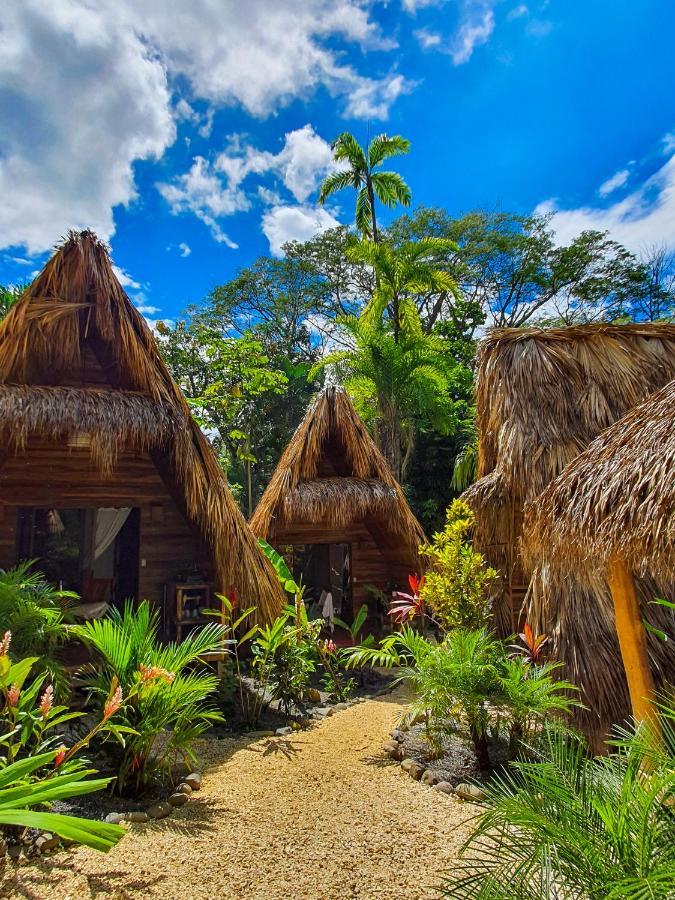 Buena Onda Bungalows Playa Santa Teresa  Ngoại thất bức ảnh
