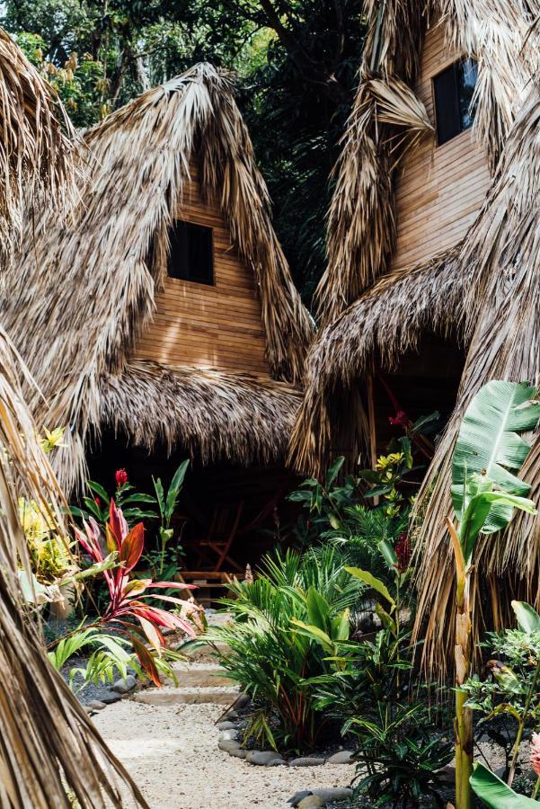Buena Onda Bungalows Playa Santa Teresa  Ngoại thất bức ảnh