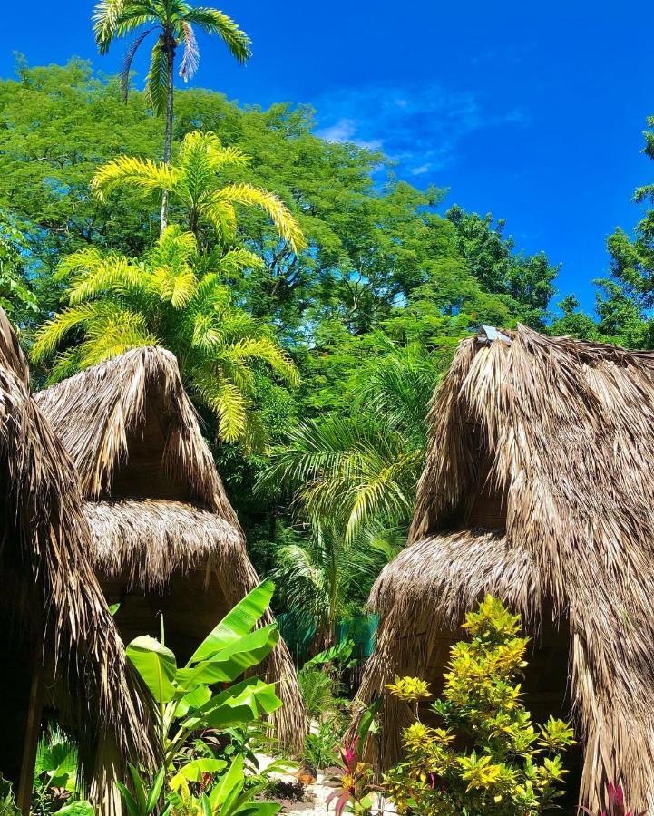 Buena Onda Bungalows Playa Santa Teresa  Ngoại thất bức ảnh