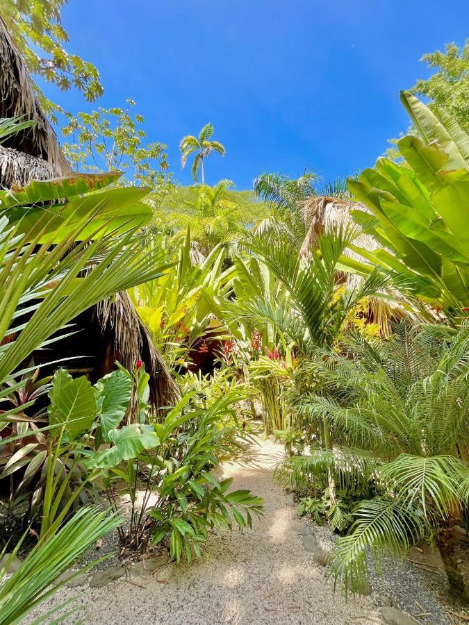 Buena Onda Bungalows Playa Santa Teresa  Ngoại thất bức ảnh