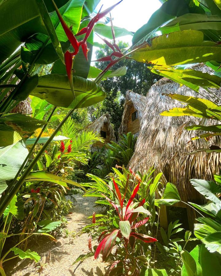 Buena Onda Bungalows Playa Santa Teresa  Ngoại thất bức ảnh