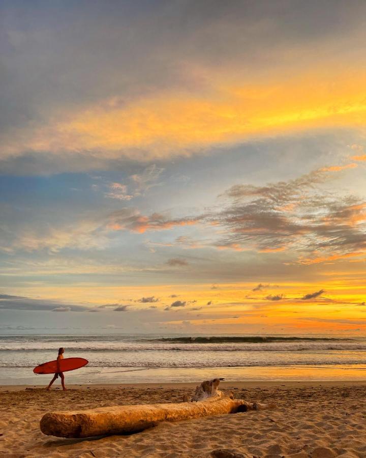 Buena Onda Bungalows Playa Santa Teresa  Ngoại thất bức ảnh
